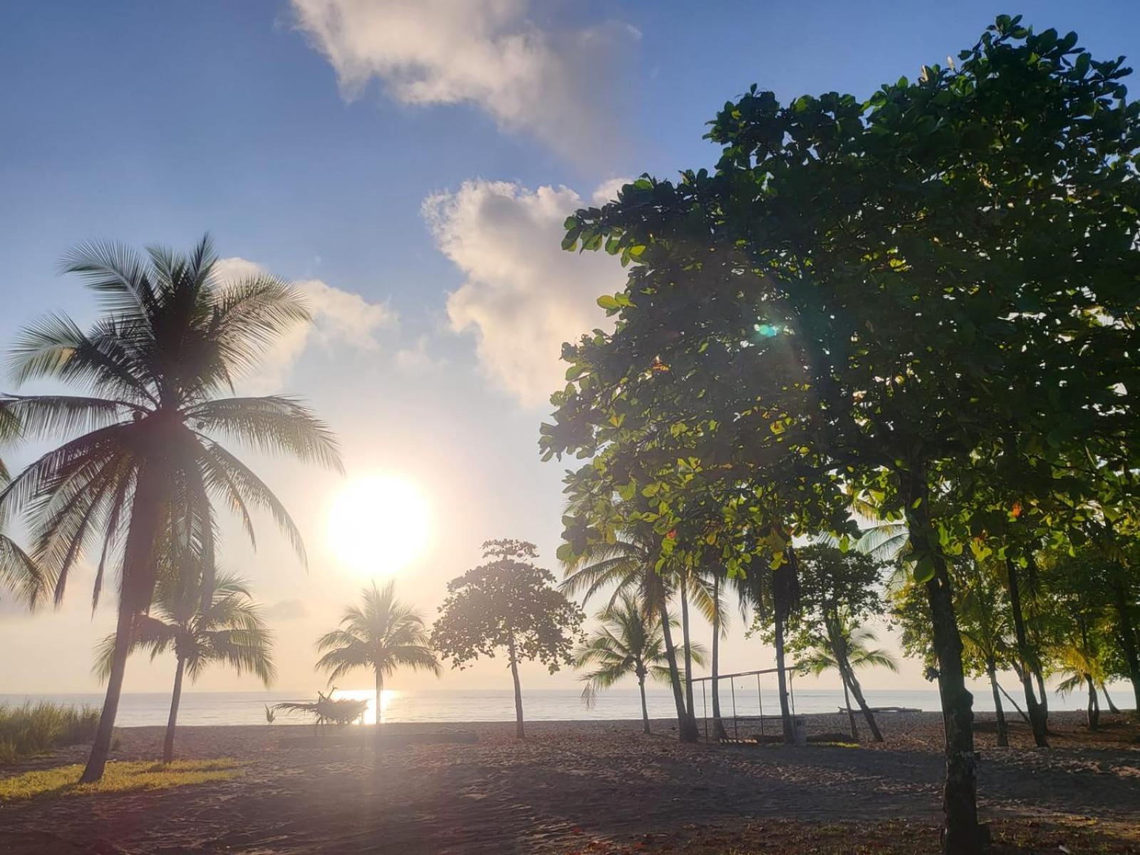 Agua Dulce On The Beach Puerto Jiménez المظهر الخارجي الصورة