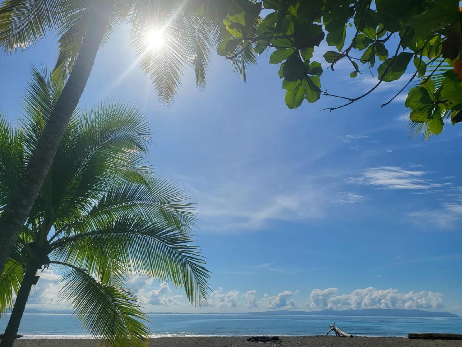Agua Dulce On The Beach Puerto Jiménez المظهر الخارجي الصورة