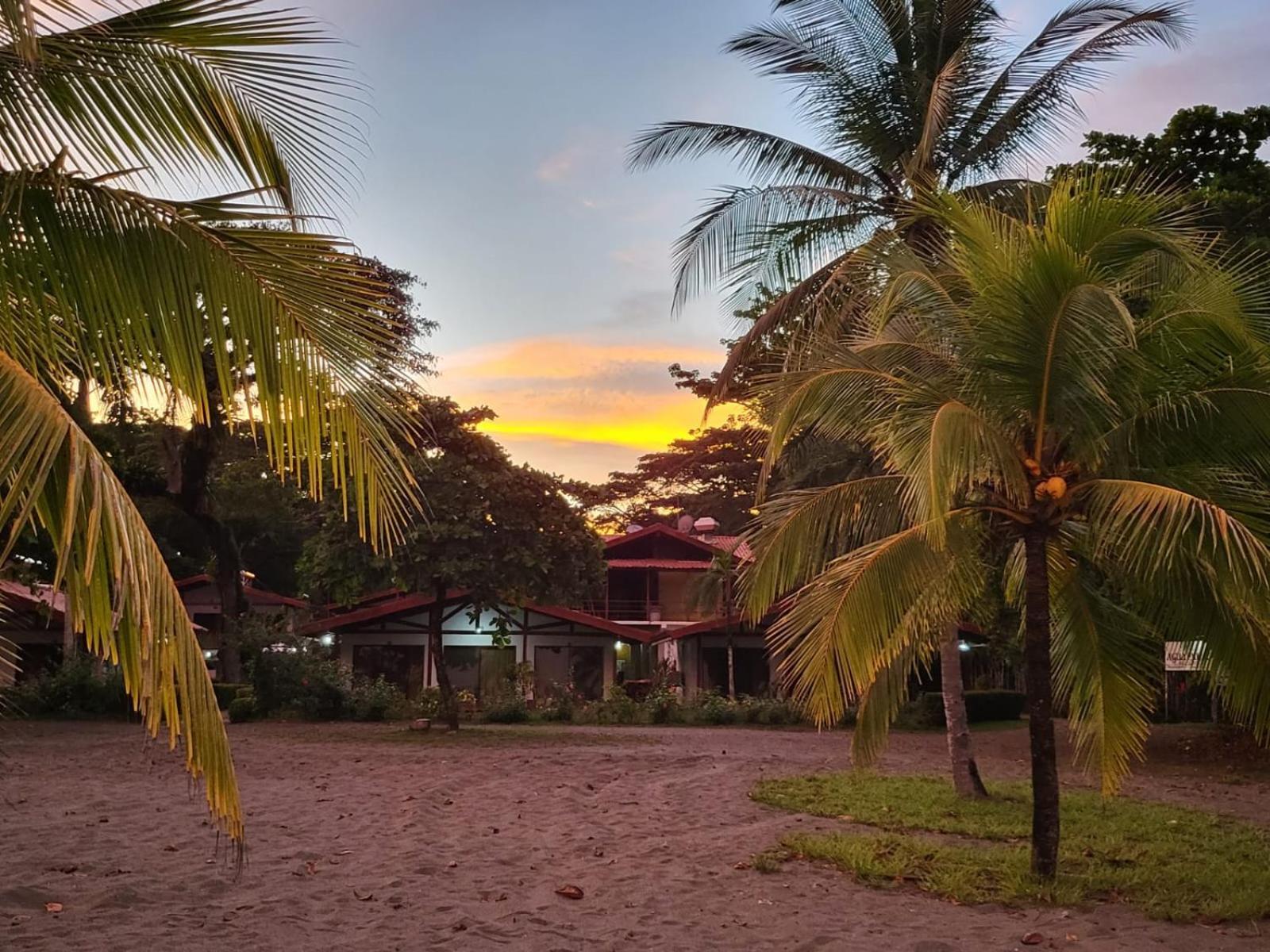 Agua Dulce On The Beach Puerto Jiménez المظهر الخارجي الصورة