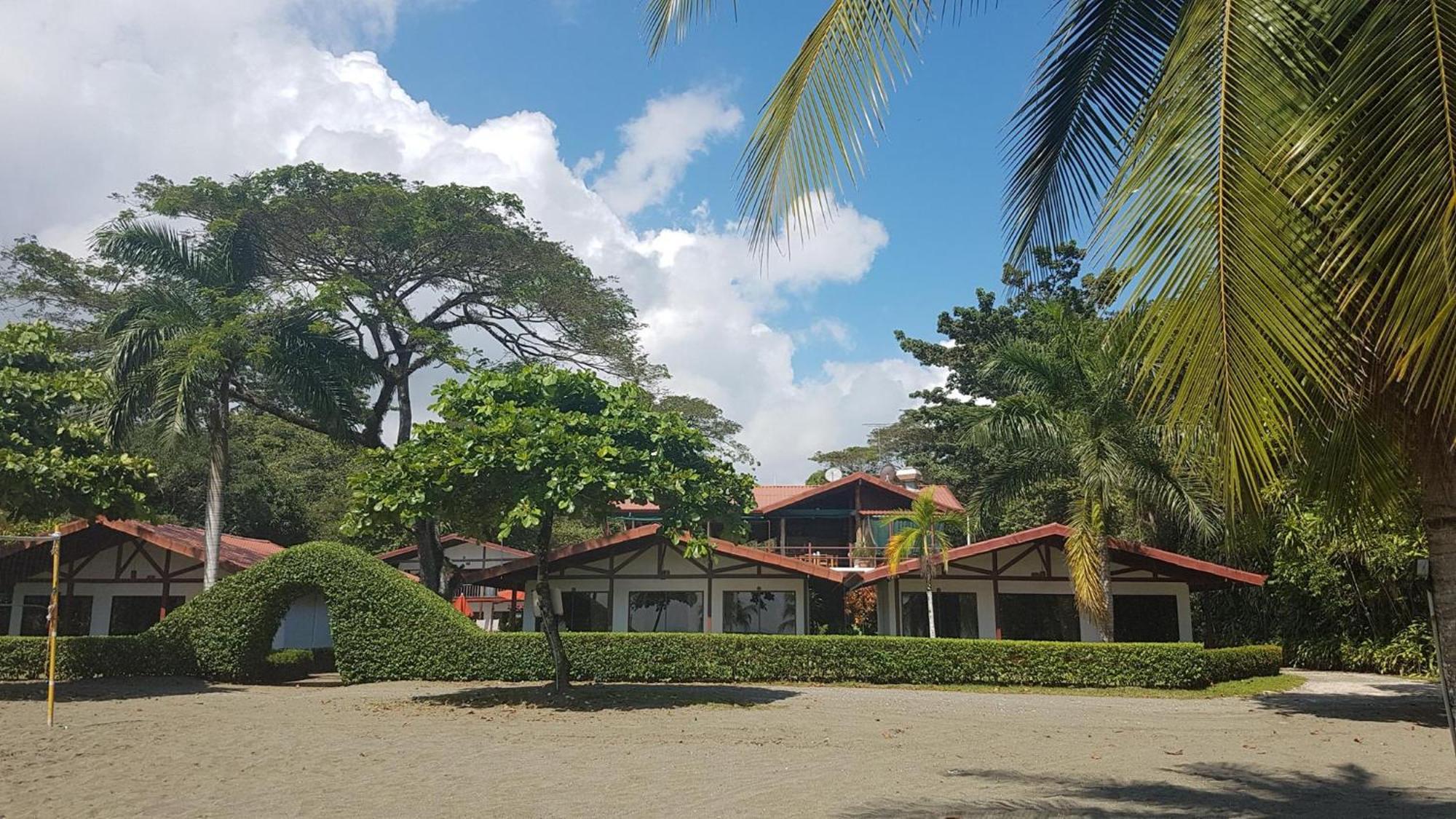 Agua Dulce On The Beach Puerto Jiménez المظهر الخارجي الصورة
