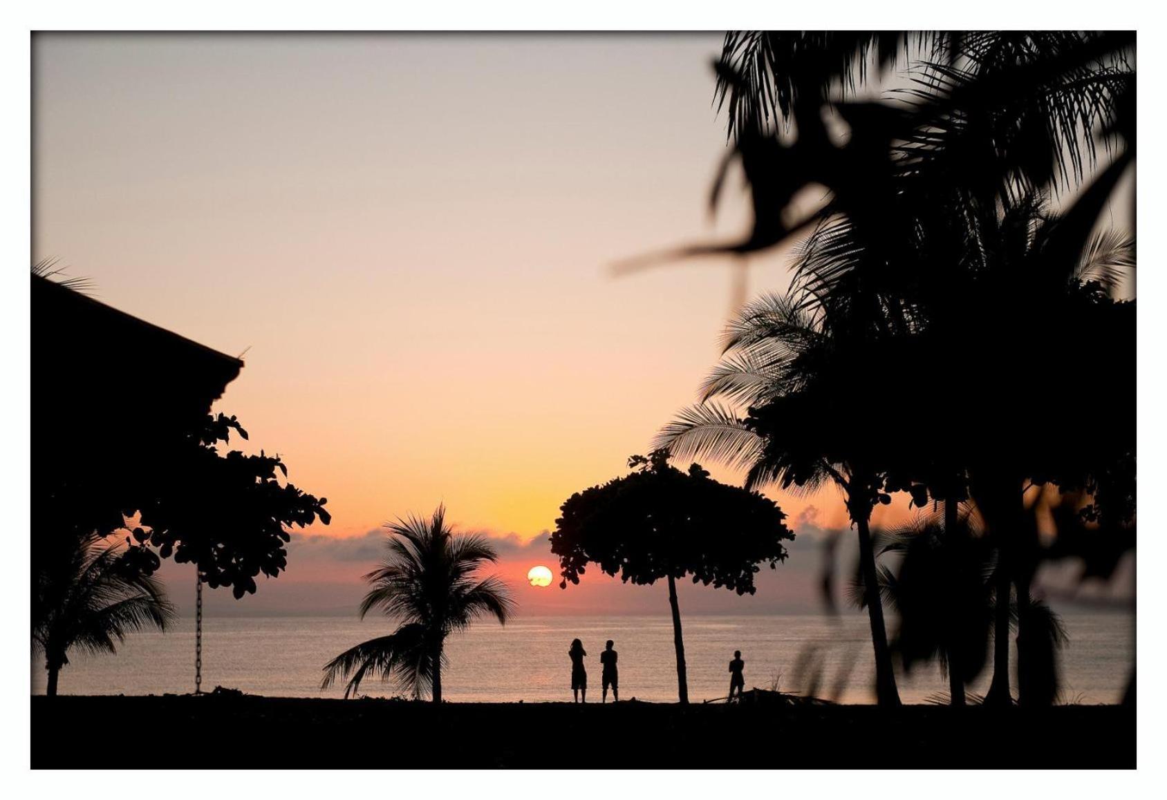 Agua Dulce On The Beach Puerto Jiménez المظهر الخارجي الصورة