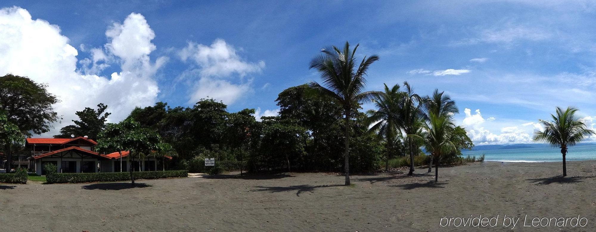 Agua Dulce On The Beach Puerto Jiménez المظهر الخارجي الصورة