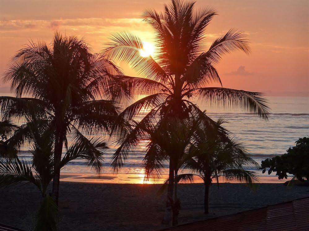 Agua Dulce On The Beach Puerto Jiménez المظهر الخارجي الصورة