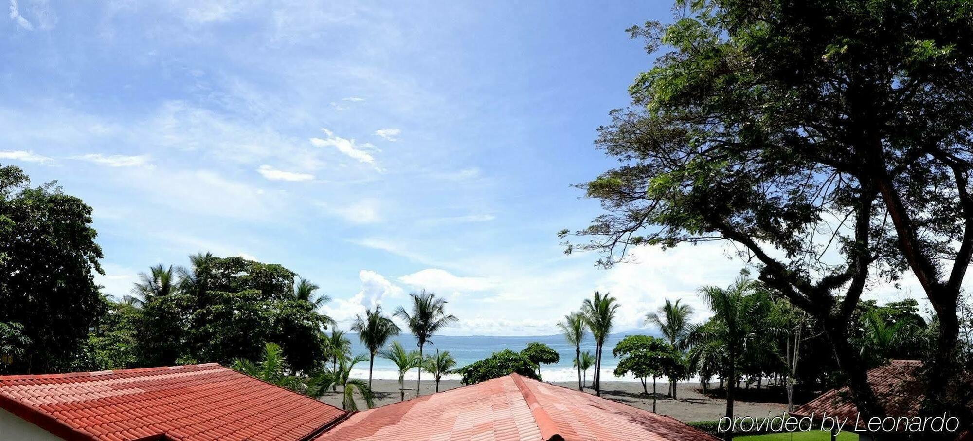 Agua Dulce On The Beach Puerto Jiménez المظهر الخارجي الصورة